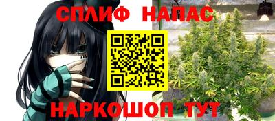 гашик Жуковский