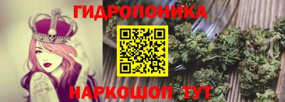 прущие грибы Дубна